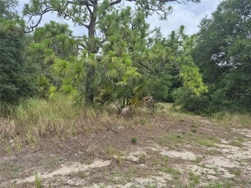 Sumterville listing