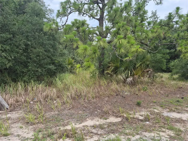 1626 S Us 301, FL