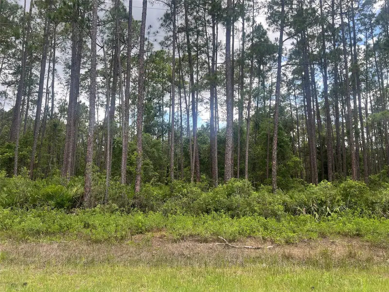 137 E Boundary Dr, FL