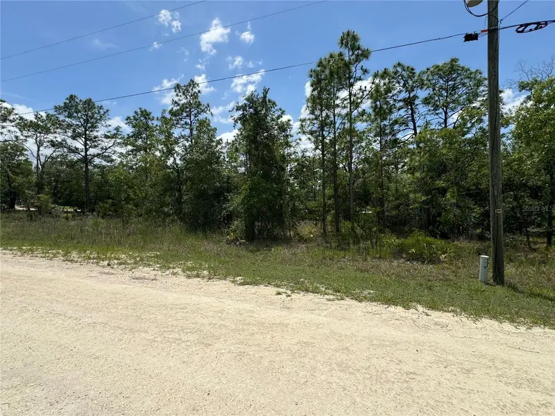 0 Scaup Duck Ave, FL
