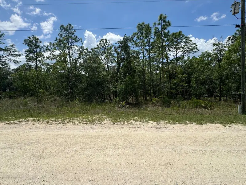 0 Scaup Duck Ave, FL
