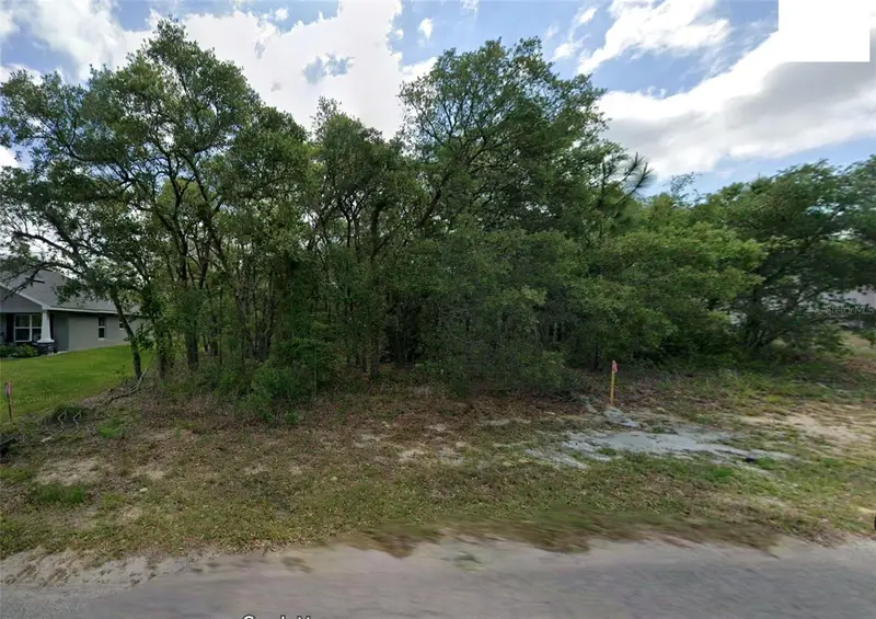 14 Nemesia Ct E, FL