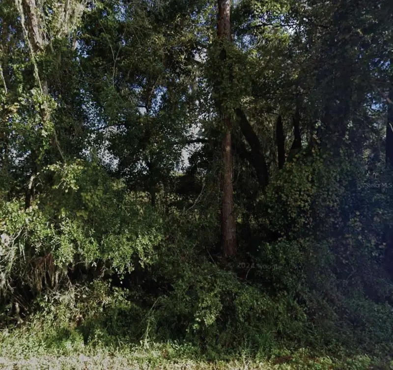 Ne 234th Place Rd, FL