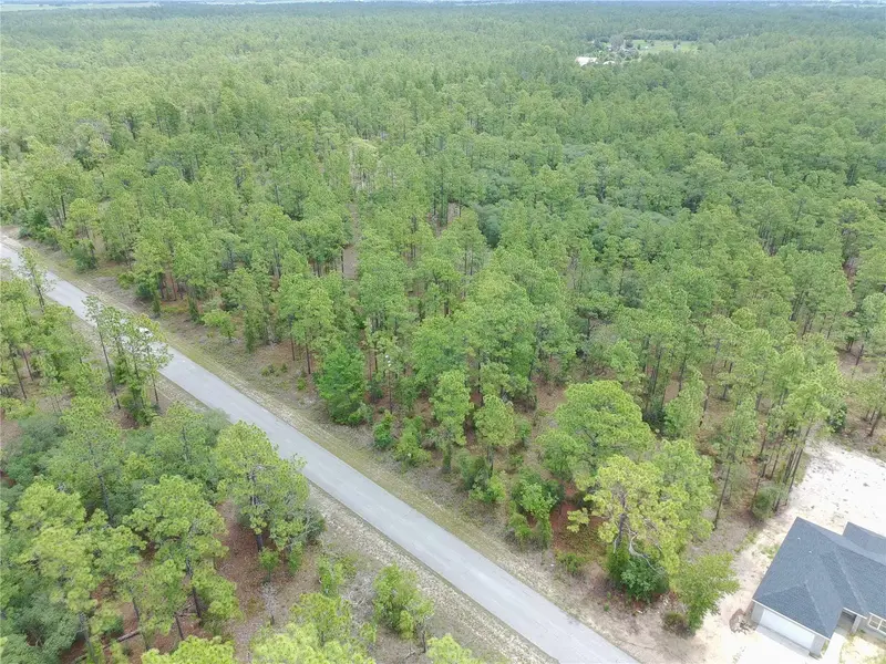 Sw Buena Vista Rd, FL