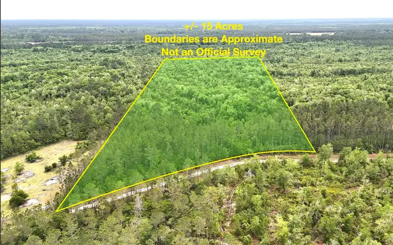 Sweet Gum Rd, FL