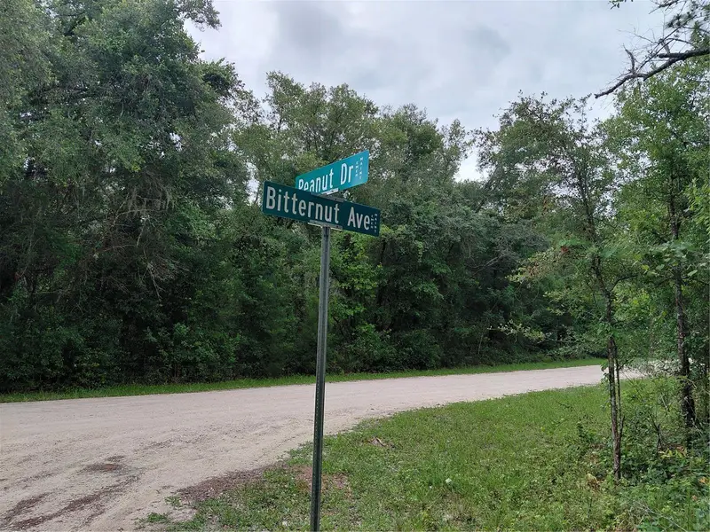 Peanut Dr, FL
