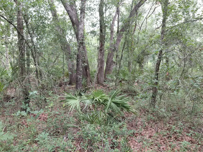 Peanut Dr, FL
