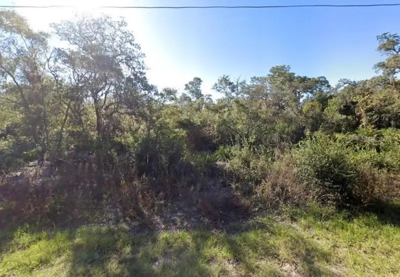 441 Vernon Ct, FL