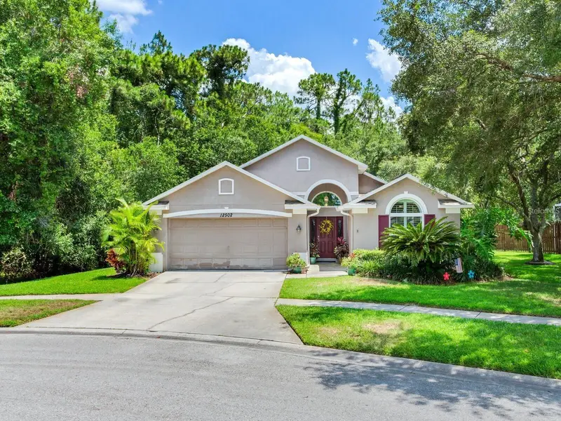 12502 Blazing Star Dr, FL