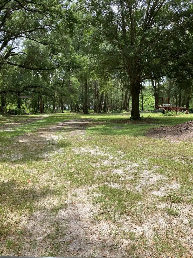 E Pine Ave, FL
