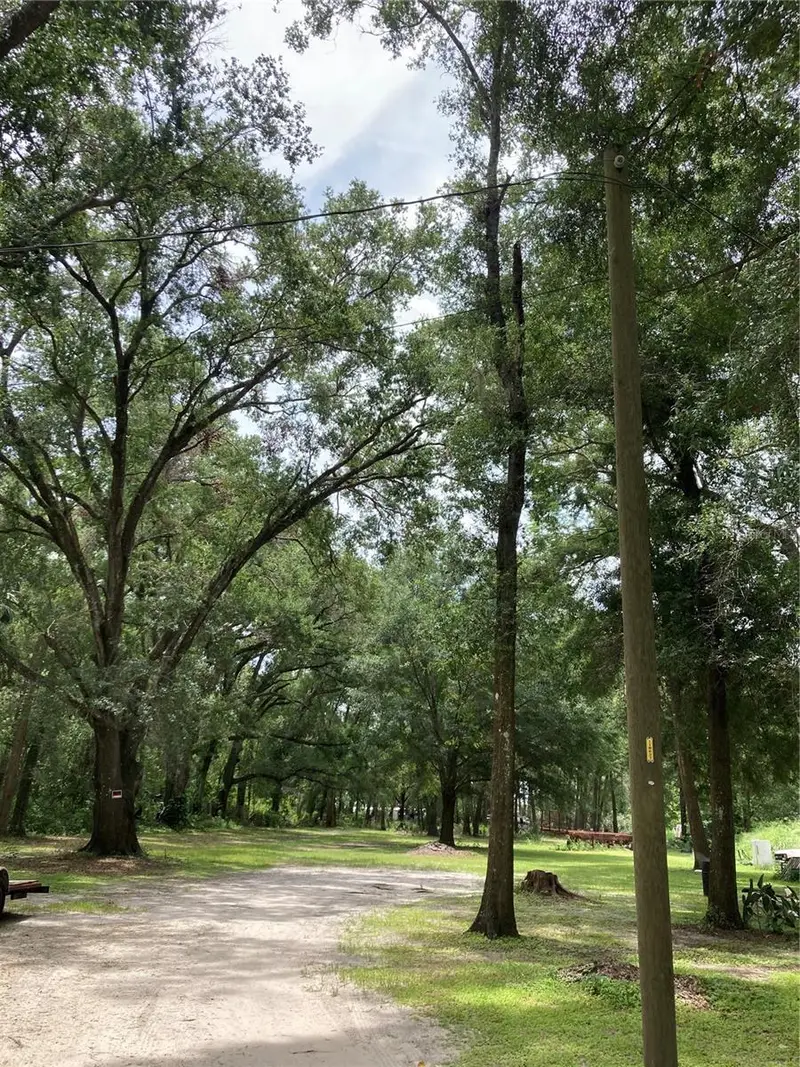 E Pine Ave, FL