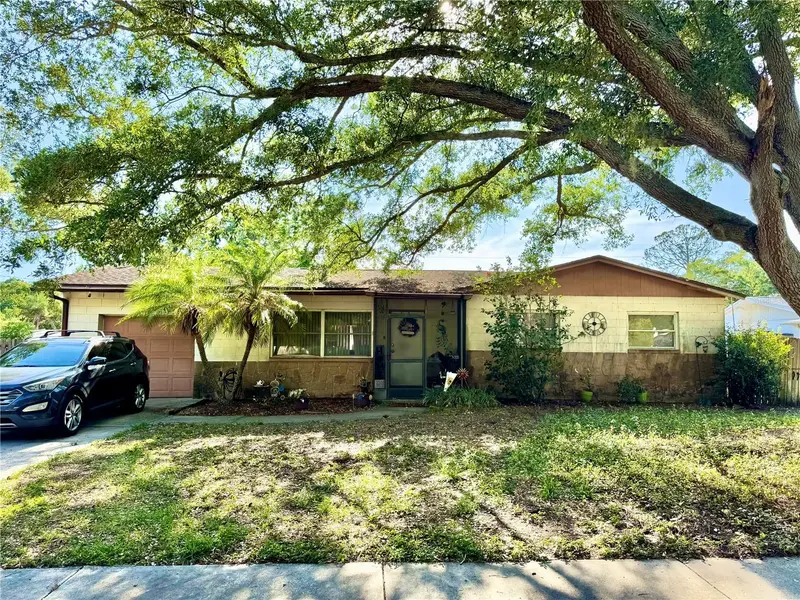 1406 Pineapple Ln, FL