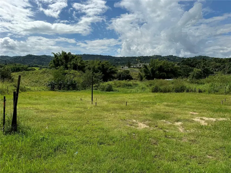 Juncos, PR