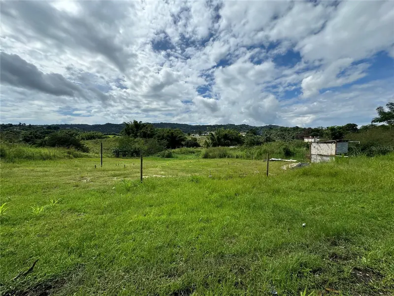 Juncos, PR