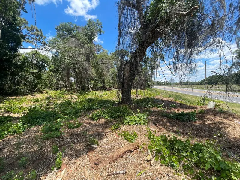 County Road 42, FL