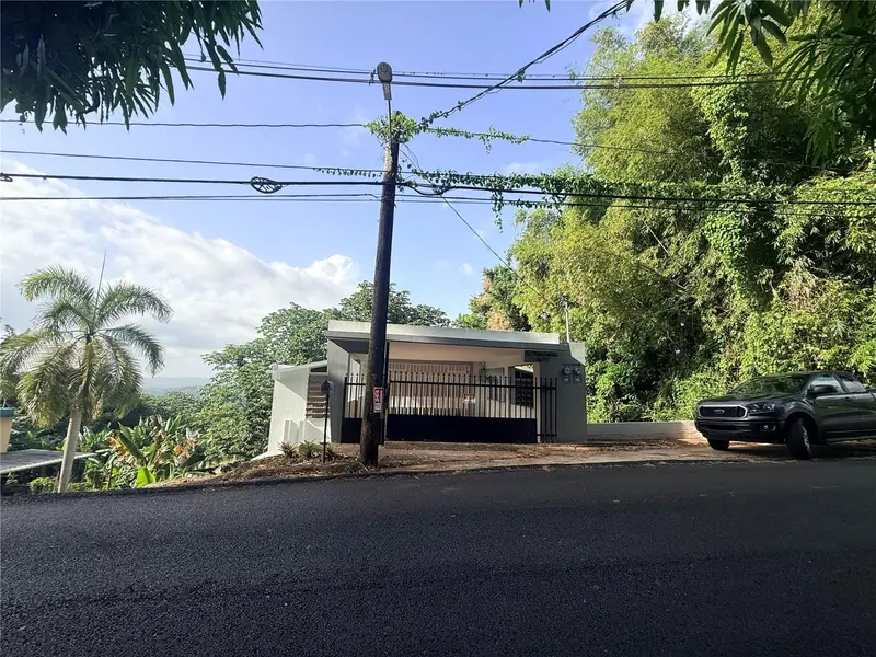 Carr. 349 Cerro Las Mesas, PR