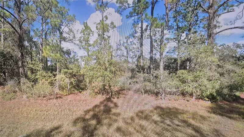 Plumosa Dr, FL