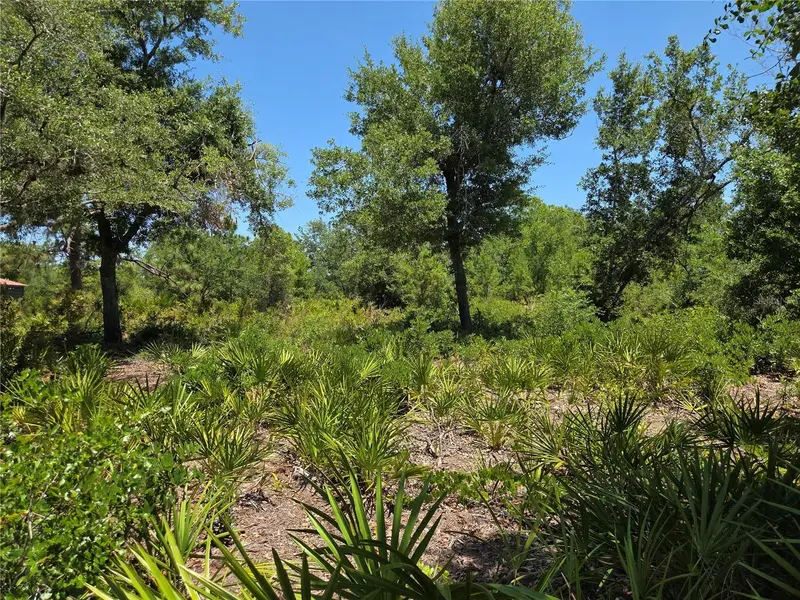 33410 Washington Loop Rd, FL