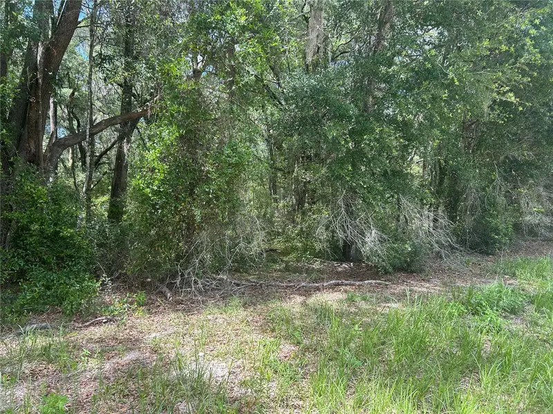 Sw 111 Ln, FL