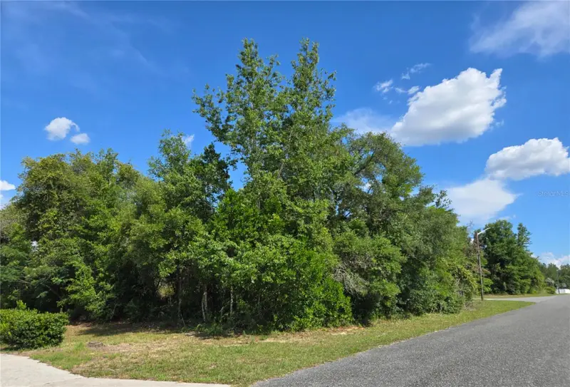 Tbd Marion Oaks Dr, FL