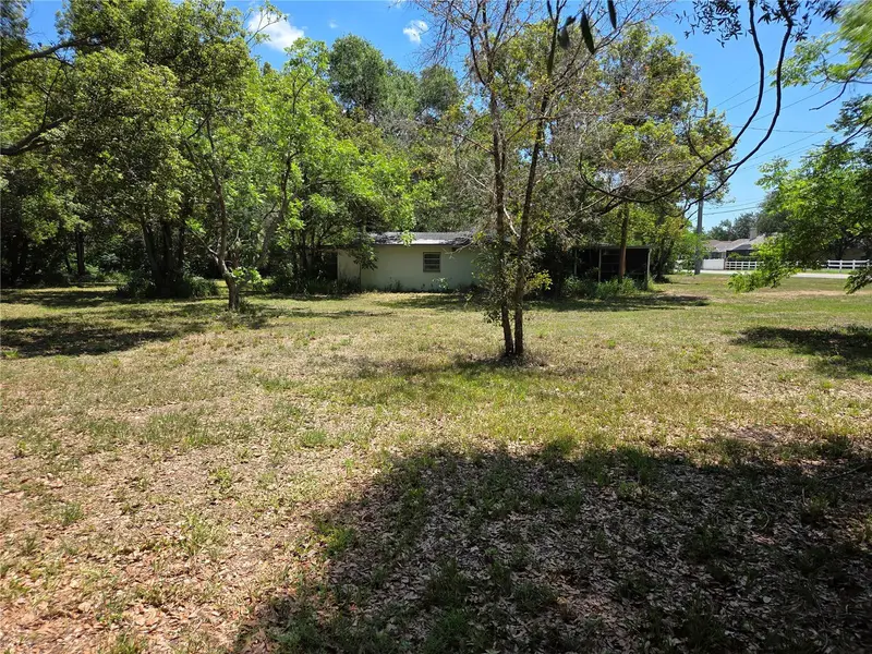 3810 E Lumsden Rd, FL