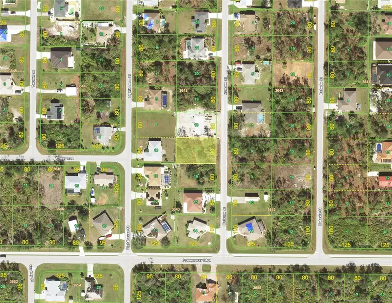 7231 Holsum St, FL