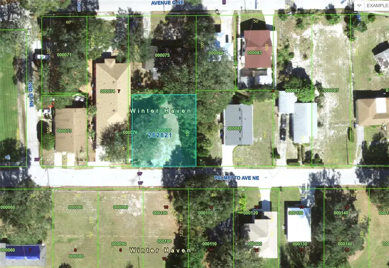 223 Palmetto Ave Ne, FL