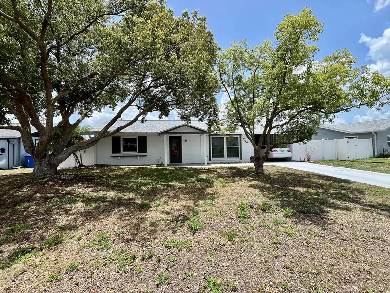 704 Torrey Pines Ave, FL