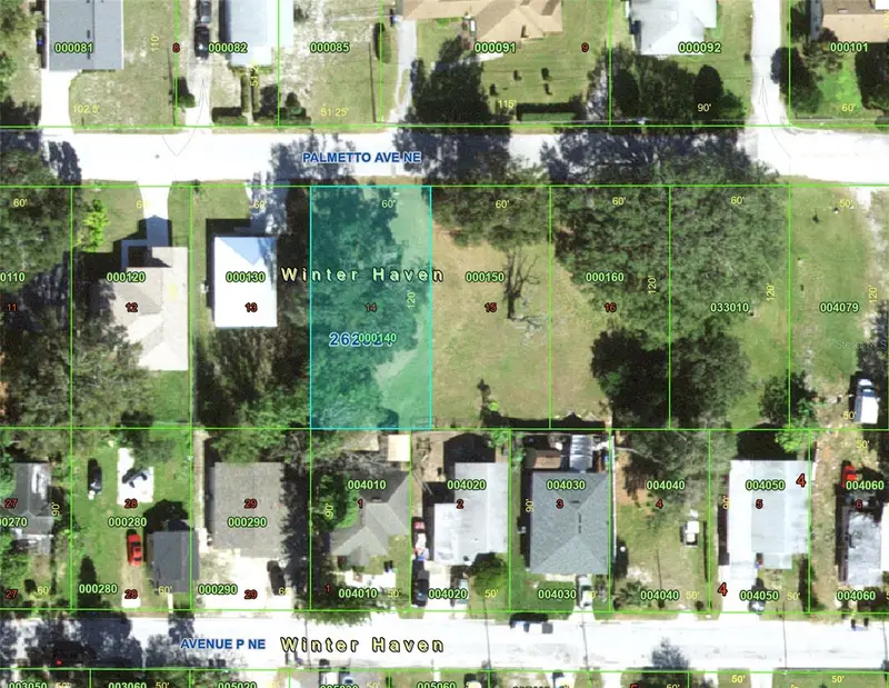 Palmetto Ave Ne, FL