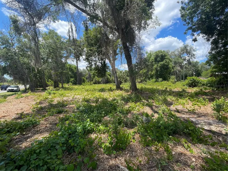 County Road 42, FL