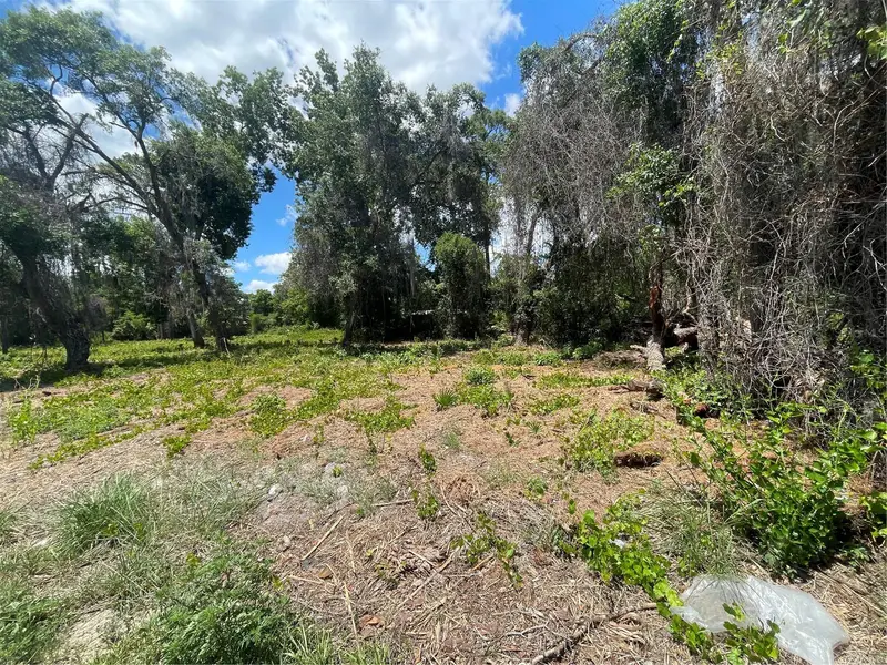 County Road 42, FL