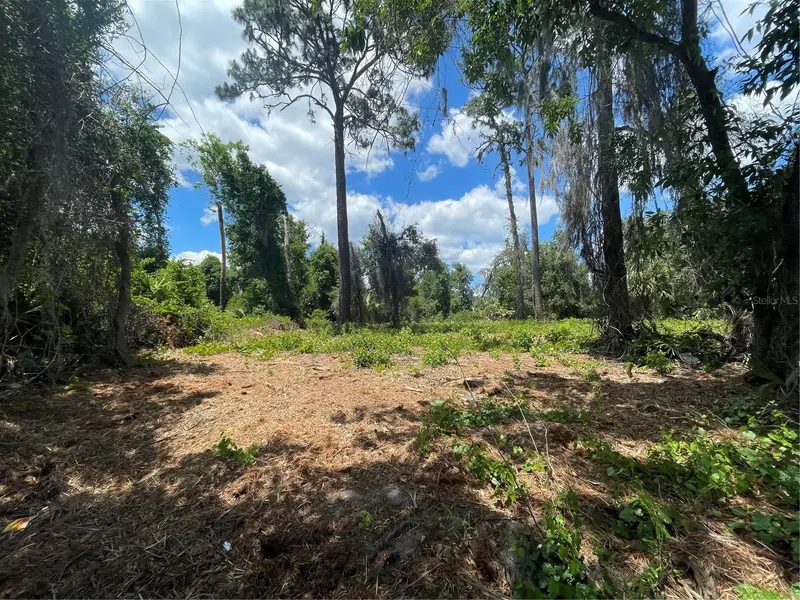 County Road 42, FL