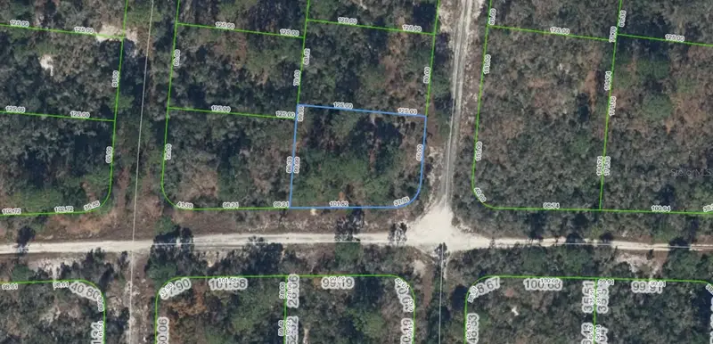 300 Rainbow Dr, FL
