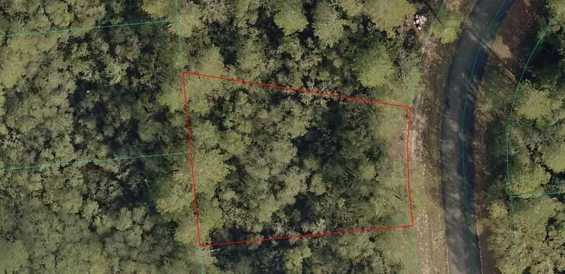 8006-0714-12 Sw 41 Ct, FL