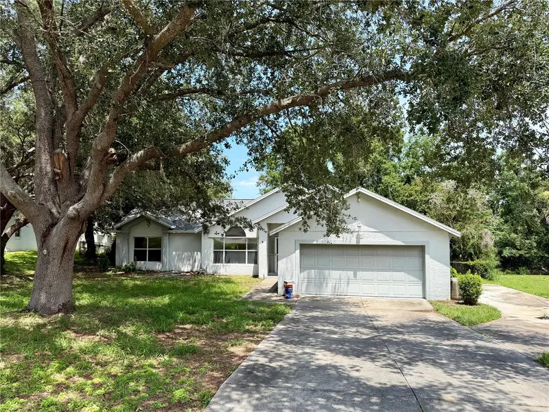 10258 Joanies Run, FL