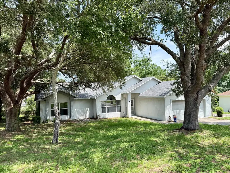 10258 Joanies Run, FL