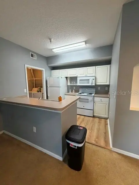 5524 Metrowest Blvd #206, FL