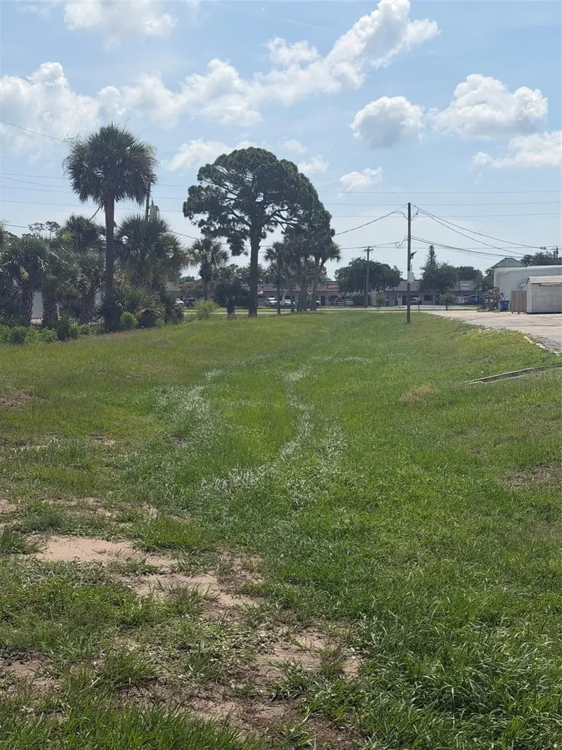 0 S Ridgewood Ave, FL