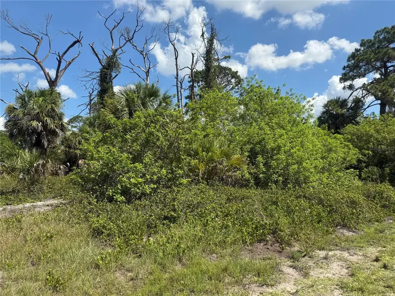 Fairlane Dr, FL