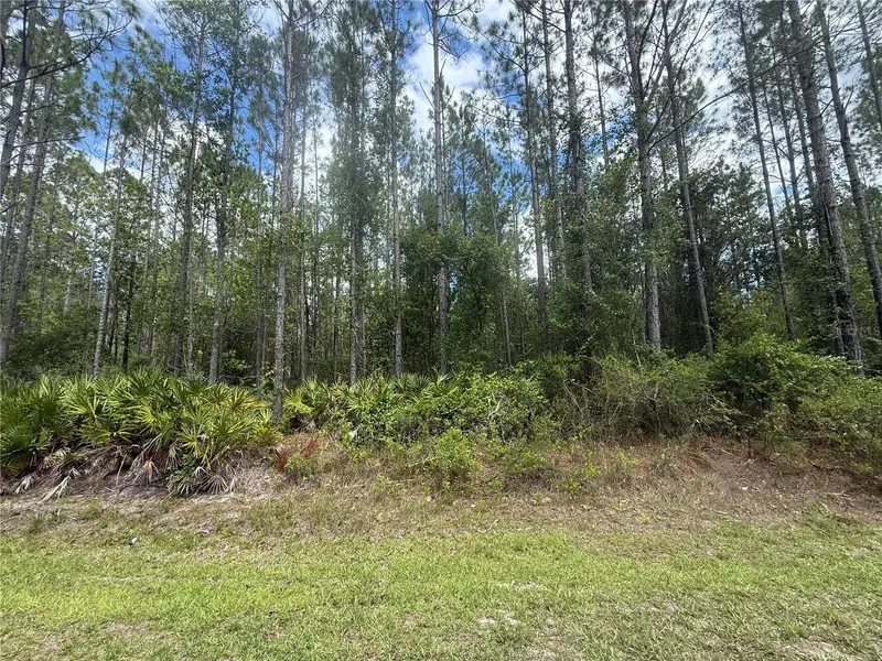 Sw 89th St, FL