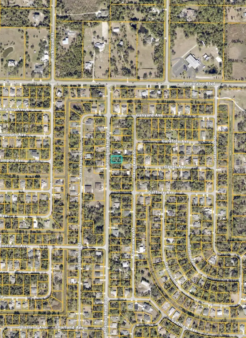 Hornbuckle Blvd, FL