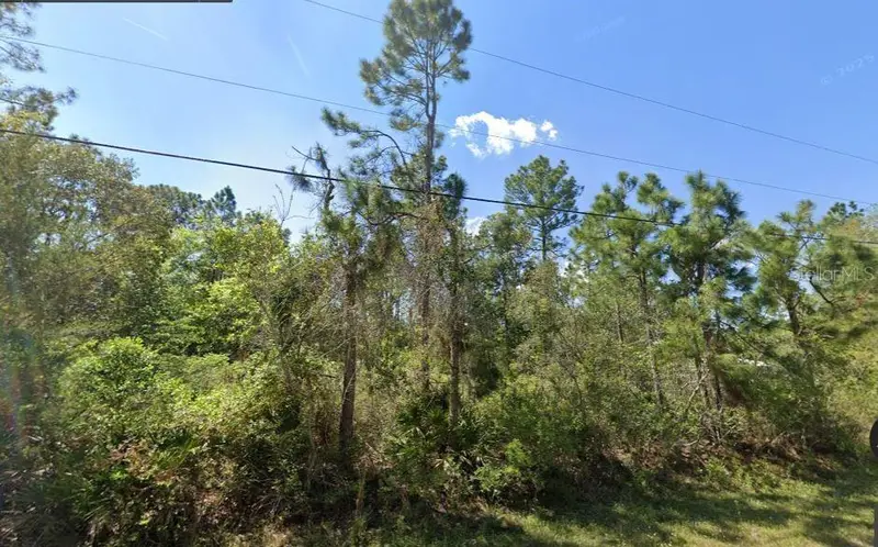 2834 Orange Blossom St, FL