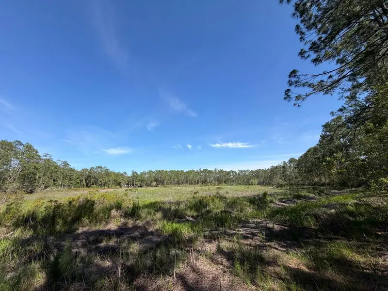 Tbd Ne 114 Ave Rd, FL