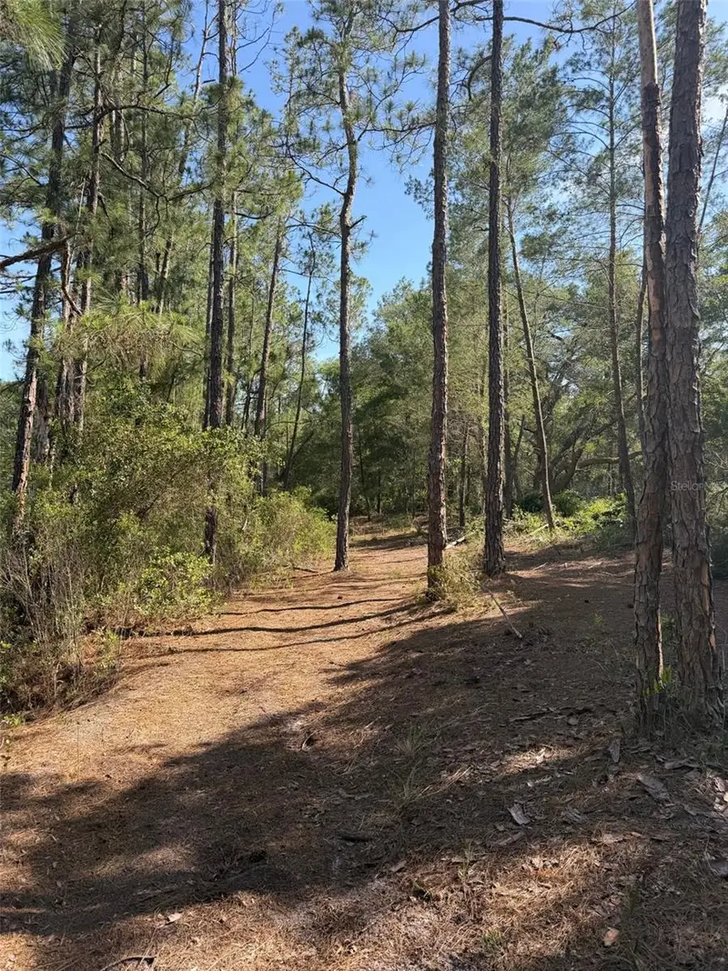 Tbd Ne 114 Ave Rd, FL