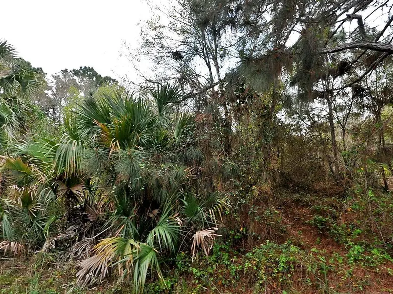 Henning St, FL