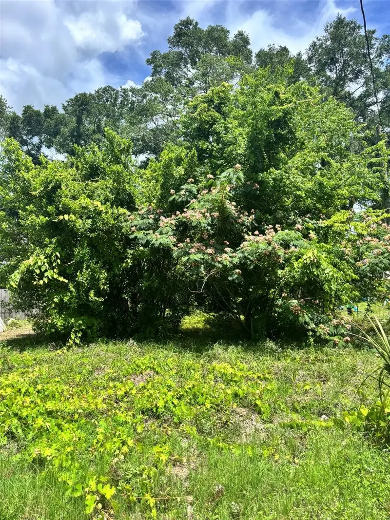 206 Ne 13th Ave, FL