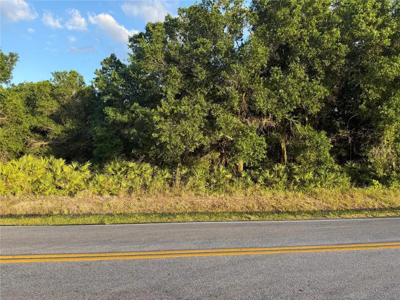 0 Alturas Babson Park Cutoff Road, FL