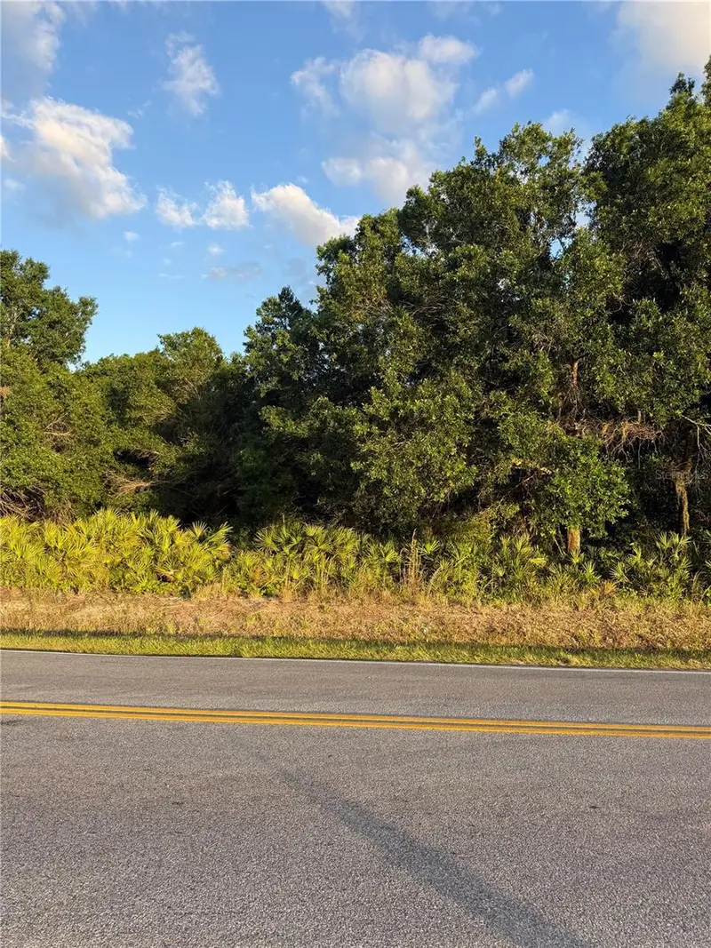 0 Alturas Babson Park Cutoff Road, FL