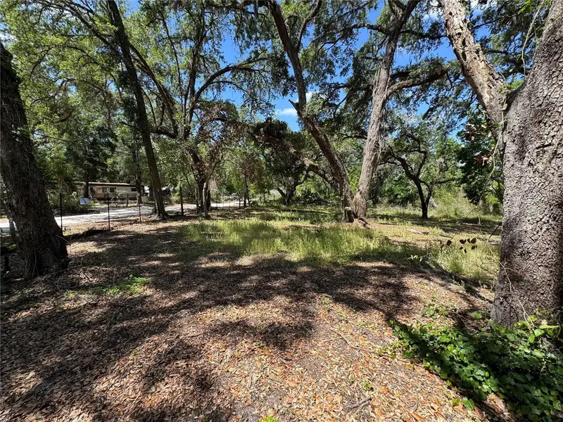 Tannahill St, FL