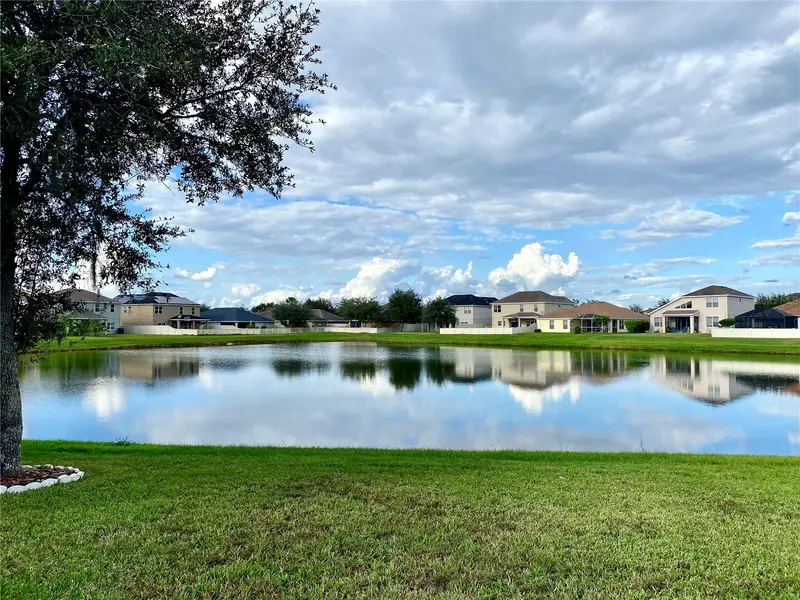 10812 Ancient Futures Dr, FL